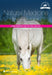 Natural Medicine for Horses