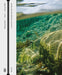 DELUS: Issue 1