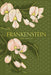 Frankenstein (Special Edition)