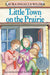 Little Town on the Prairie