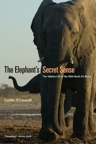 The Elephant`s Secret Sense – The Hidden Life of the Wild Herds of Africa