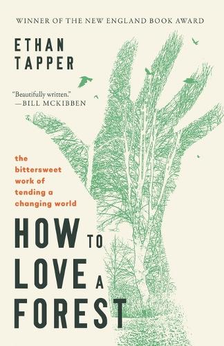 How to Love a Forest