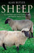 Sheep – The remarkable story of the humble animal that built the modern world.