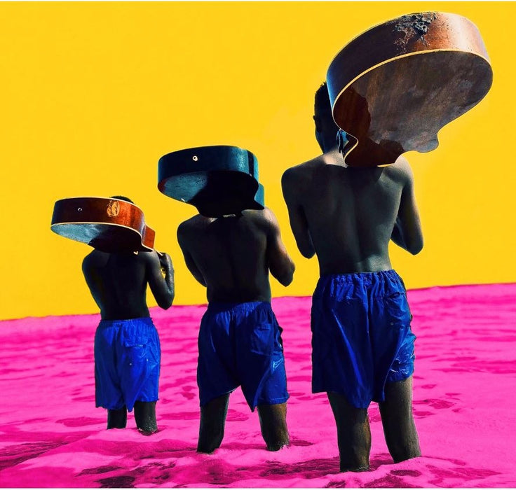 FRIGIDAIRE 316238201 Series Switch