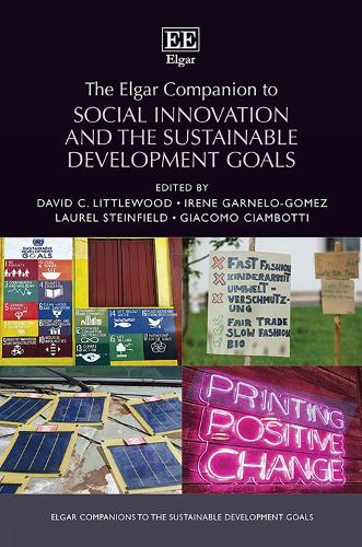 The Elgar Companion to Social Innovation and the Sustainable Development Goals