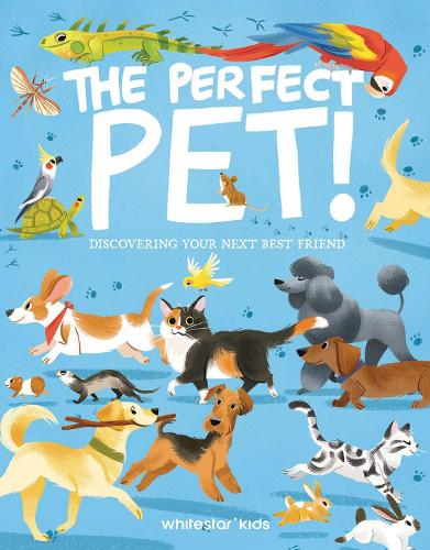 The Perfect Pet!