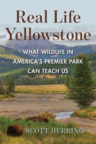 Real Life Yellowstone