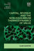 Capital, Revenue and the Non-equilibrium Thermodynamics of Value