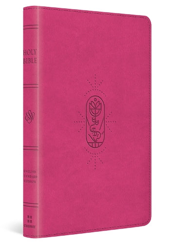 ESV Holy Bible for Kids