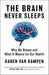 The Brain Never Sleeps