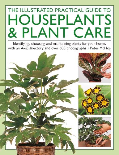 The  Illustrated Practical Guide to Houseplants & Plant Care