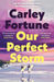 Our Perfect Storm
