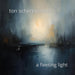 A Fleeting Light