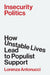 Insecurity Politics