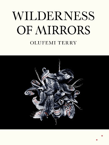Wilderness of Mirrors