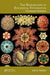 The Hierarchies in Biological Systematics