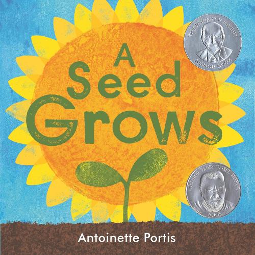 A Seed Grows