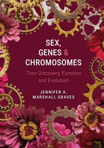 Sex Genes And Chromosomes