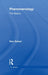 Phenomenology: The Basics
