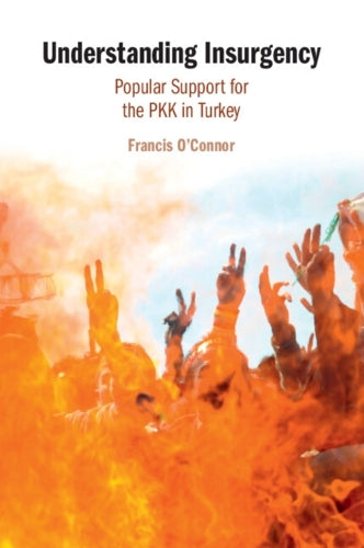 Understanding Insurgency