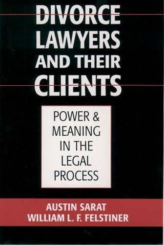 Divorce Lawyers and Their Clients