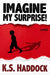 Imagine My Surprise!