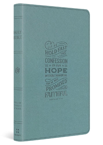 ESV Large Print Value Thinline Bible