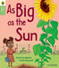 Oxford Reading Tree Green Sparks: Level 1+: As Big as the Sun