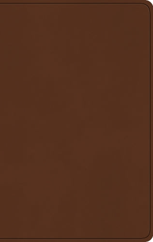ESV Large Print Value Thinline Bible