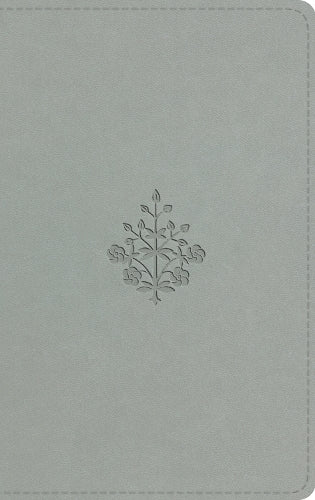 ESV Large Print Value Thinline Bible