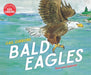 Bald Eagles