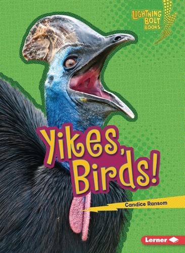 Yikes, Birds!