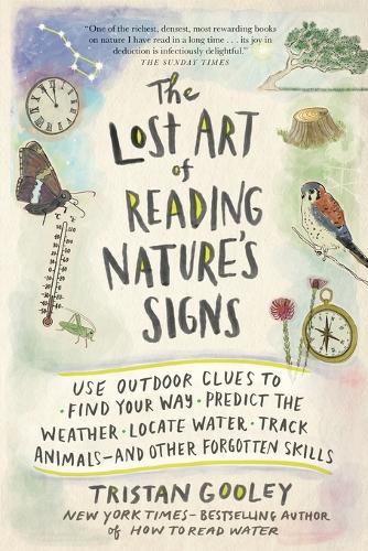 The Lost Art of Reading Nature's Signs