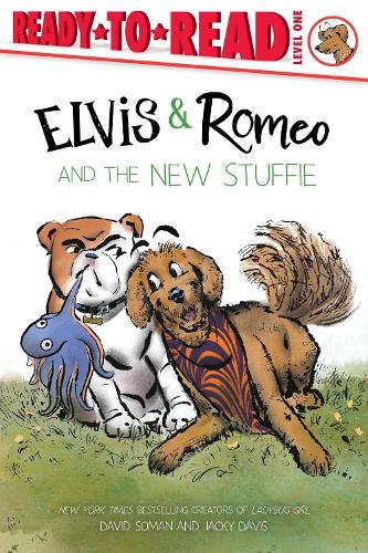 Elvis & Romeo and the New Stuffie