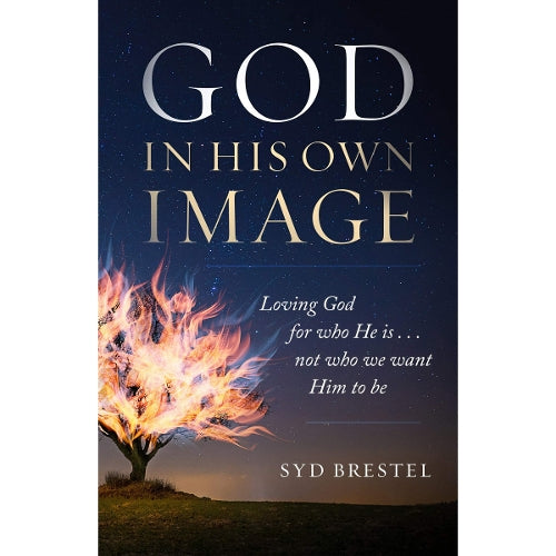 God In His Own Image