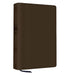 The Bible Recap 365-Day Chronological Study Bible