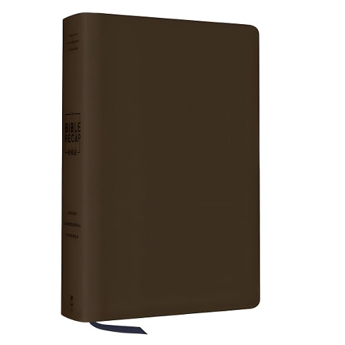 The Bible Recap 365-Day Chronological Study Bible