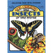 God Created the Insects of the World