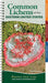 Common Lichens of the Eastern United States