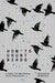 How to Count Birds