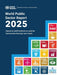 World Public Sector Report 2025