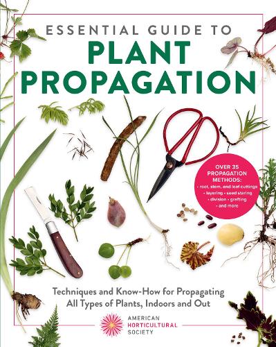 Essential Guide to Plant Propagation