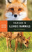 Field Guide to Illinois Mammals