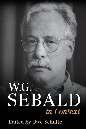 W. G. Sebald in Context