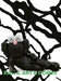 KAWS