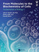 From Molecules to the Biochemistry of Cells