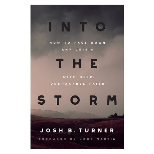 Into the Storm