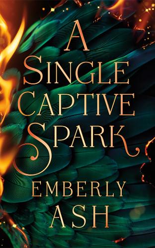 A Single Captive Spark