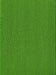 Vascular Plants of the Pacific Northwest