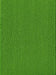 Vascular Plants of the Pacific Northwest